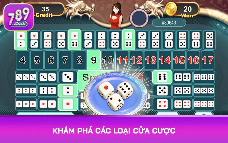 Khám phá các loại cửa cược