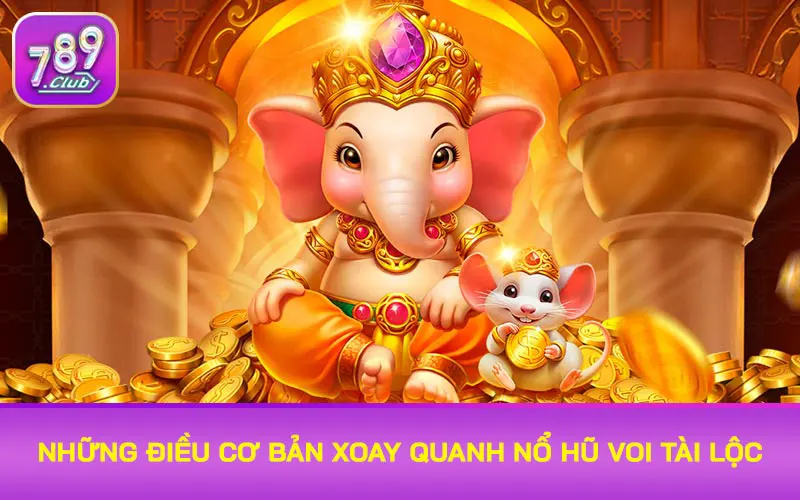 Những điều cơ bản xoay quanh Nổ hũ Voi Tài Lộc