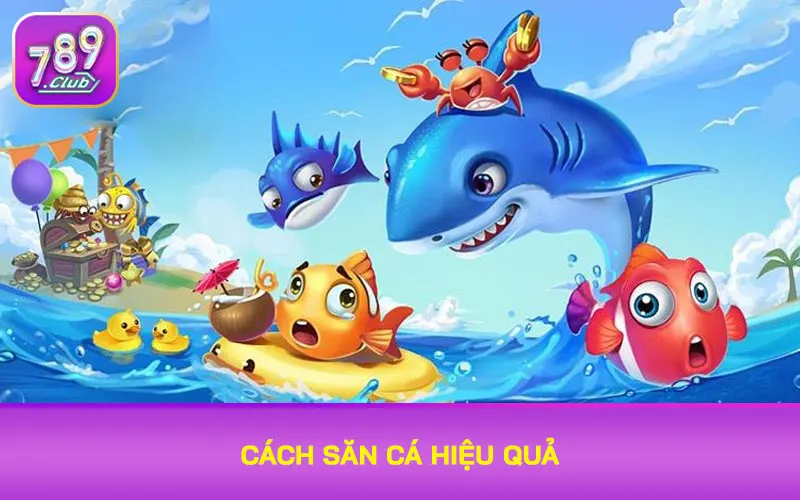 Cách săn cá hiệu quả
