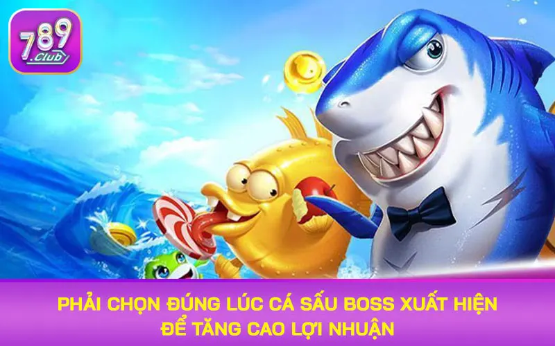 Phải chọn đúng lúc cá sấu boss xuất hiện để tăng cao lợi nhuận